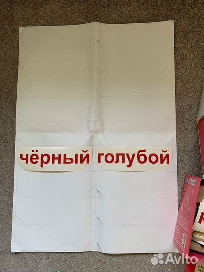 Чтение с пеленок Умница