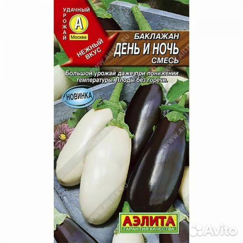 Рассада баклажанов купить в Омске | Товары для дома и дачи | Авито