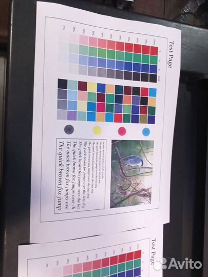 Мфу konica minolta bizhub С203 и С353