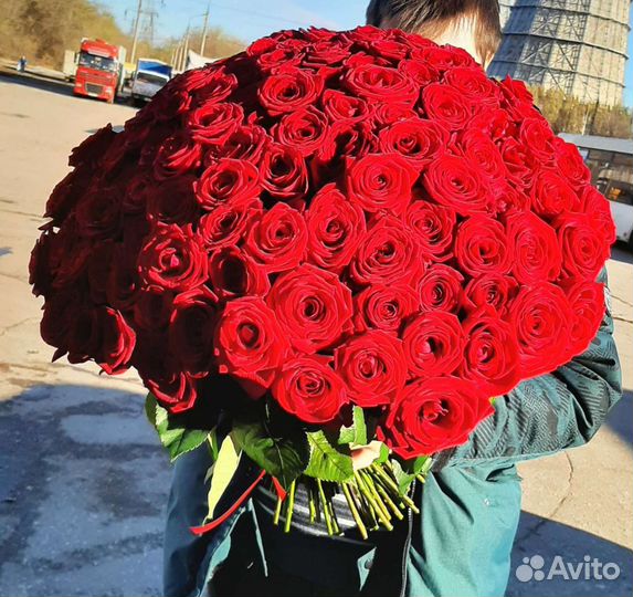 Роза цветы букеты