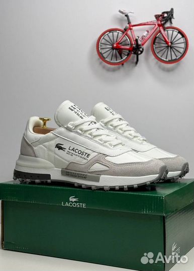 Кроссовки Lacoste универсальные