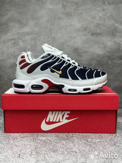 Кроссовки Nike air max tn plus