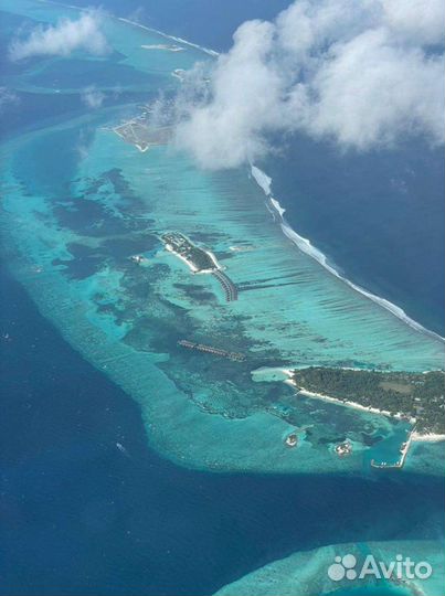 Ликвидация ооо