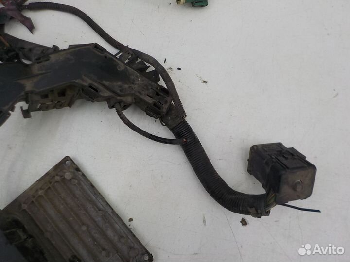 Проводка моторного отсека Ford Fiesta 2001-2007