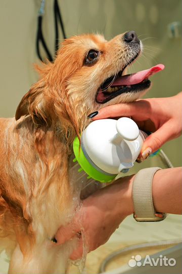 Модели собак на стрижку