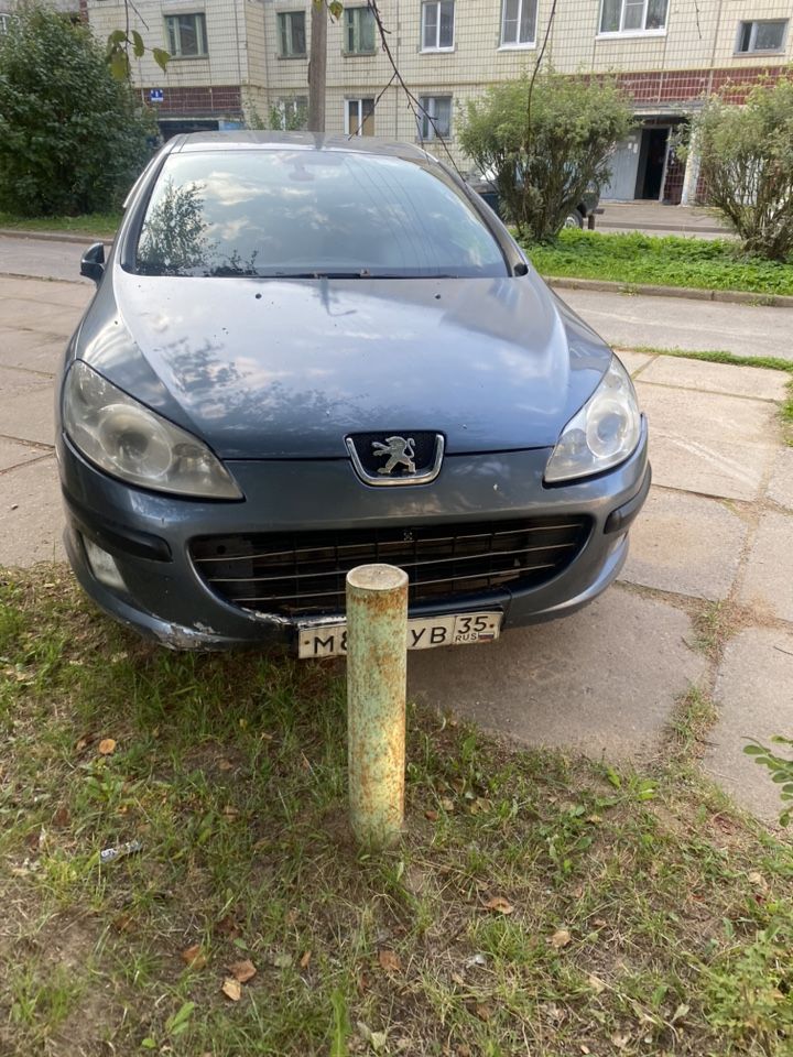 Peugeot 407: фото владельца