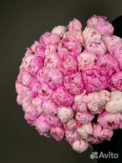 Цветы пионы