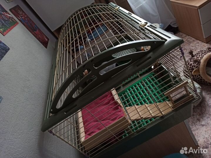 Клетка для грызунов ferplast