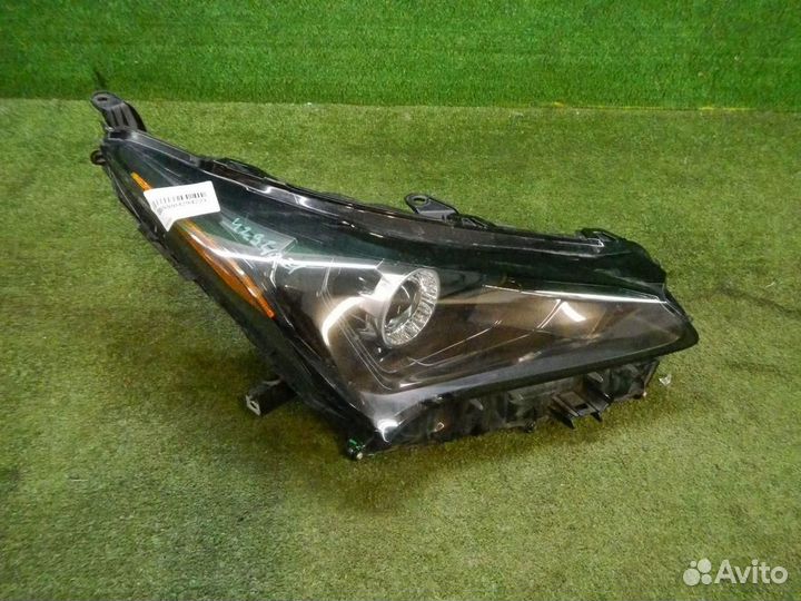 Фара правая Lexus NX200/NX200t/NX300/NX300h