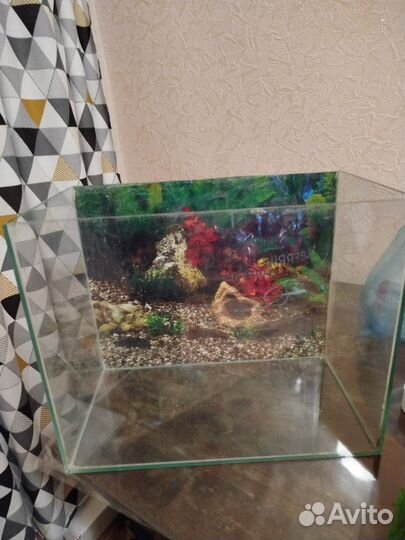Аквариум