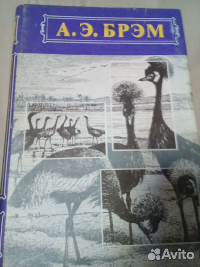 Собрание книг о природе