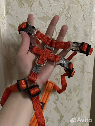 Тройная шлейка для собак маленьких пород размер S