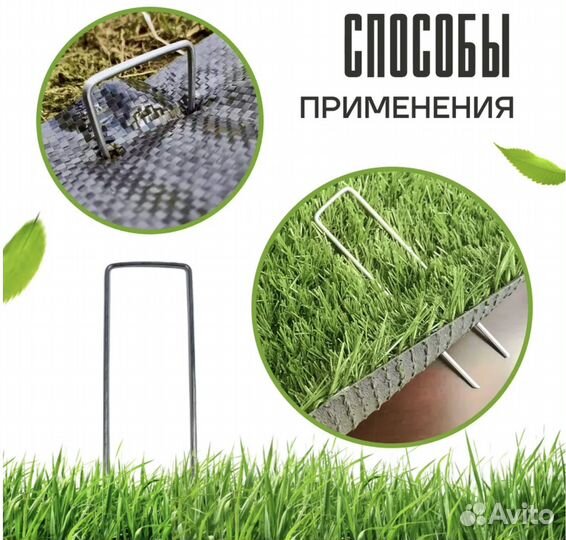 Растения для сада