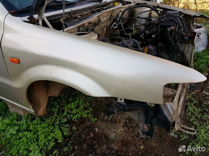 Иран Кходра Саманд Крылья