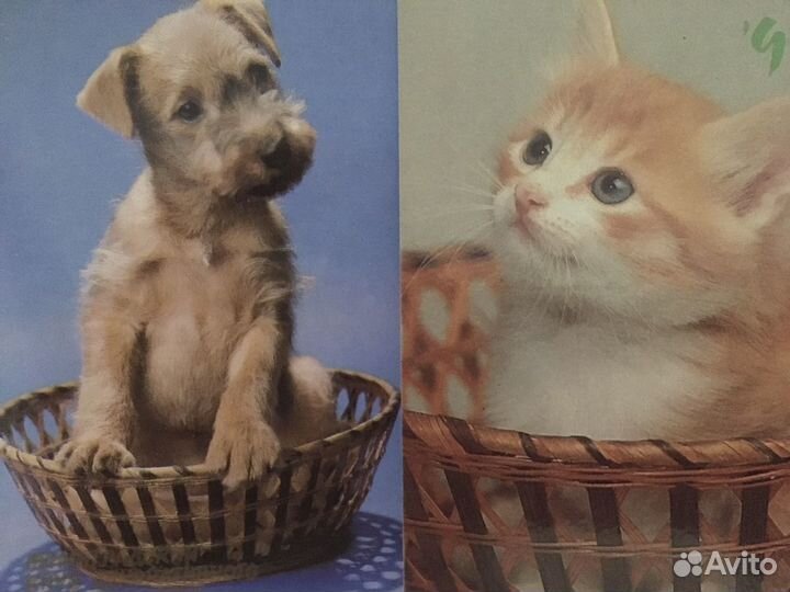 Календарики СССР +