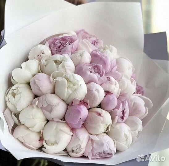 Пионы цветы букеты