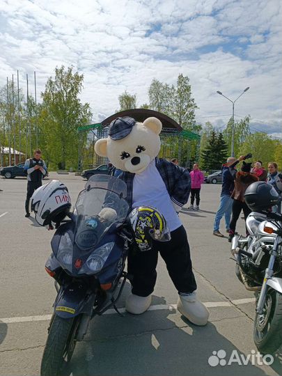 Белый мишка хулиган /зайка Ляля