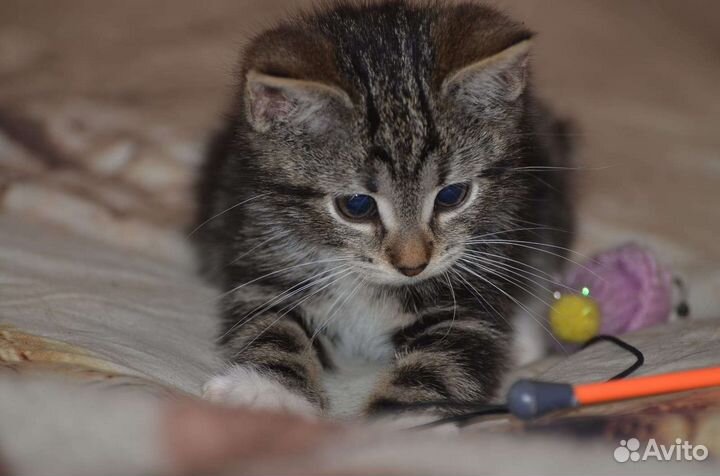 Малышка ищет семью