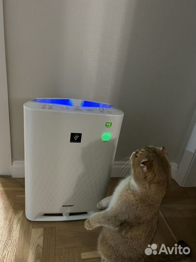 Воздухоочиститель увлажнитель Sharp