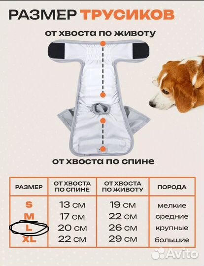 Трусики для собаки