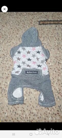 Одежда для маленьких собак