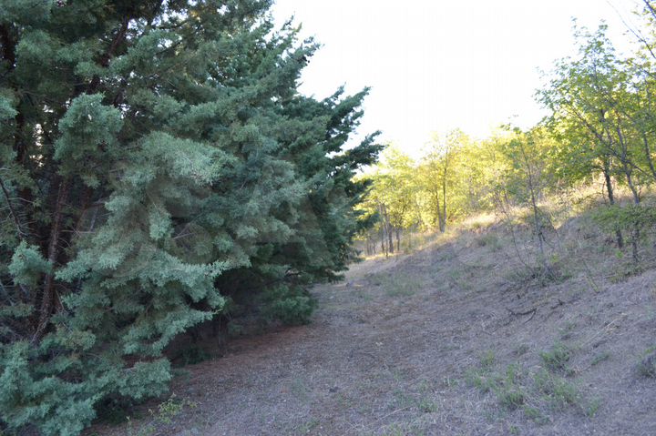 Участок 8,9 сот. (ИЖС)