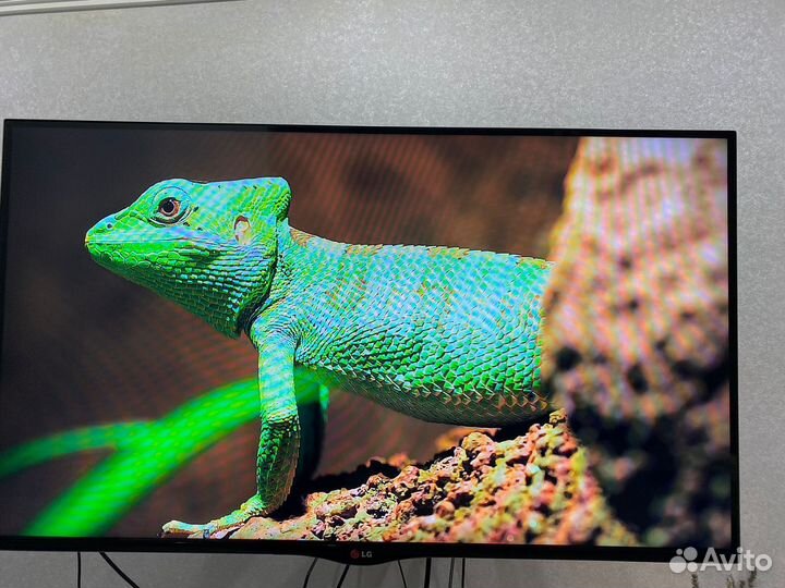 Телевизор lg 42