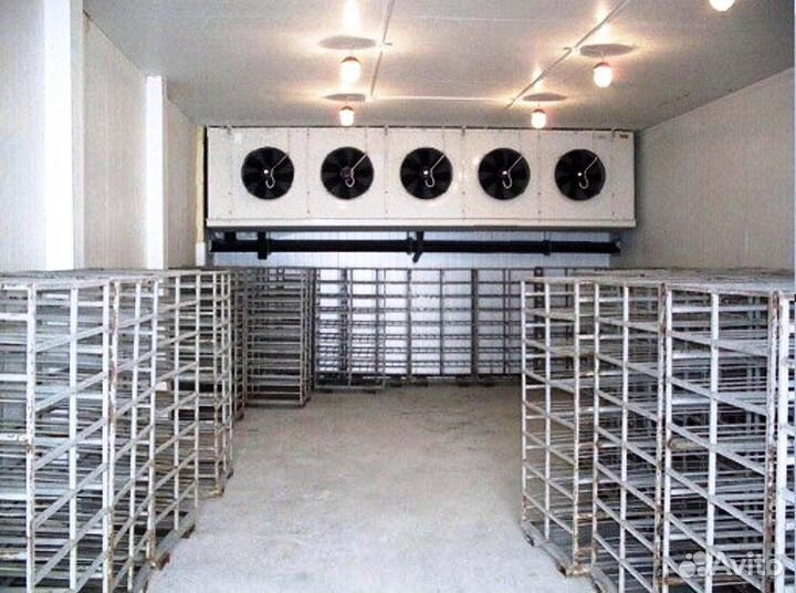 Холодильная камера профильная для хранения рыбы