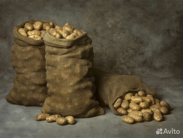 Продам картофель