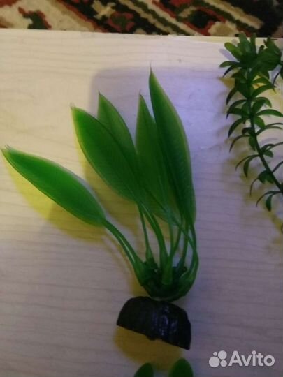 Искусственные водоросли