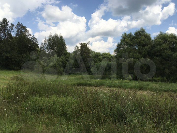 Участок 31,8 га (ИЖС)