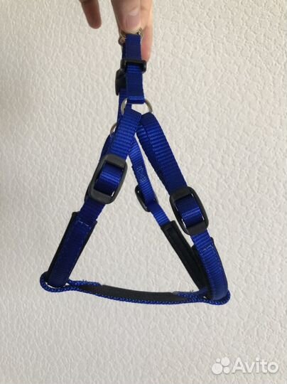 Шлейка для собак (small)