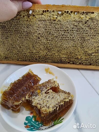 Мед 2023 года