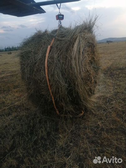Сено в рулонах