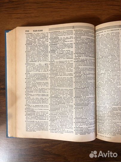 Толковый словарь русского языка Ожегов