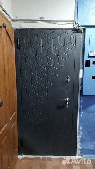 Дверь входная аргус