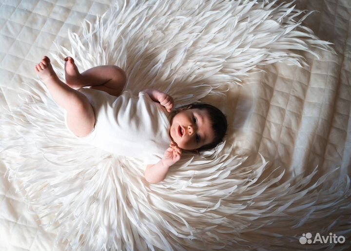 Декор крылья