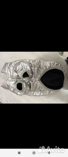 Одежда для маленьких собак