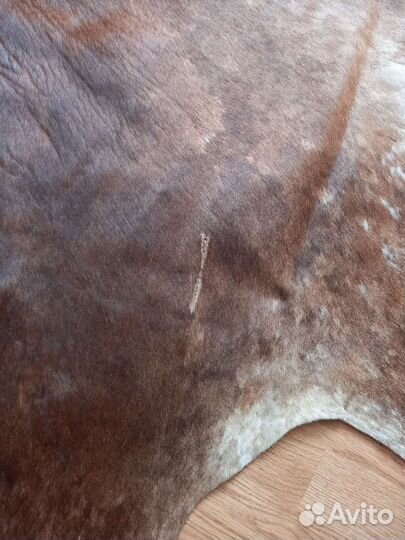 Шкура коровы