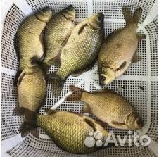 Прод жив карась100 р. кг мелкий опт