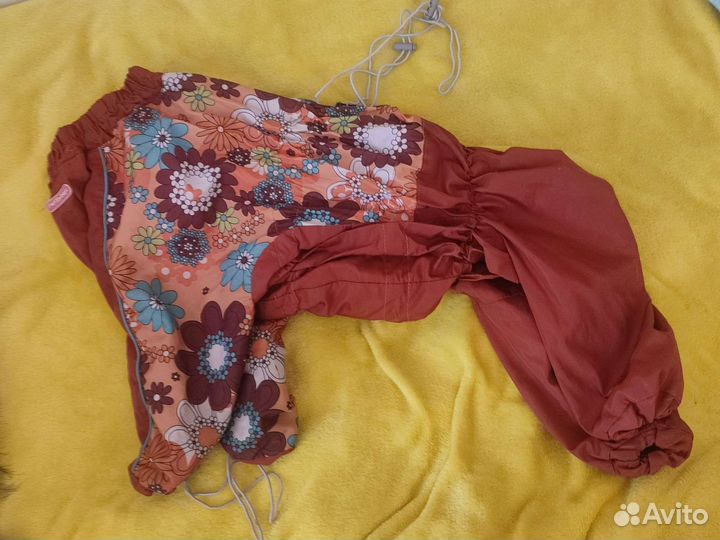 Дождевик для собаки девочки