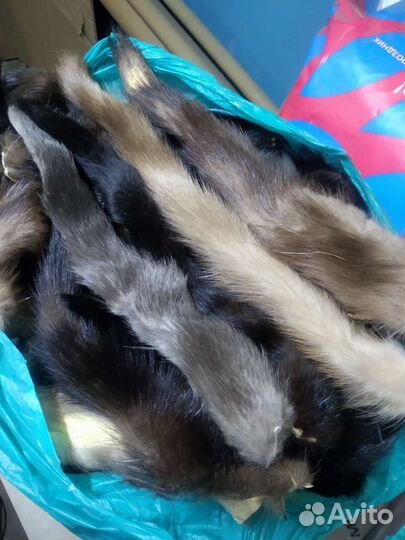 Хвостики норки