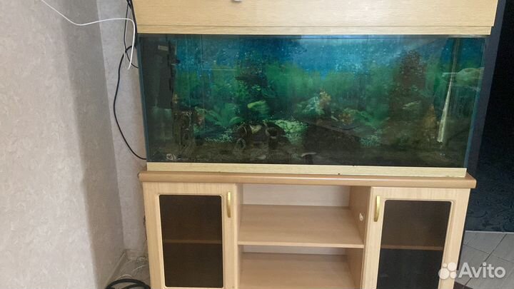 Аквариум с тумбой 300 литров
