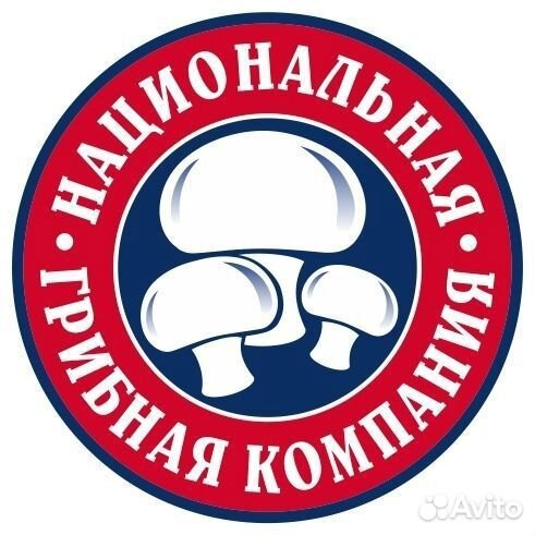 Сборщики грибов