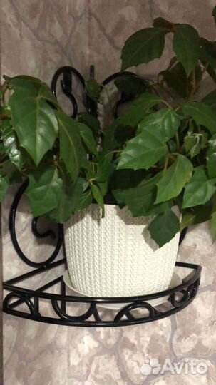 Подставка для цветов угловая