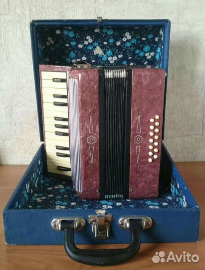 Аккордеон детский 