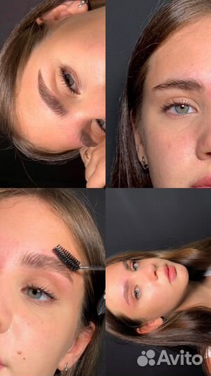 Обучение курс бровист