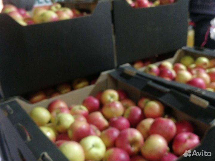 Яблоки айдаред