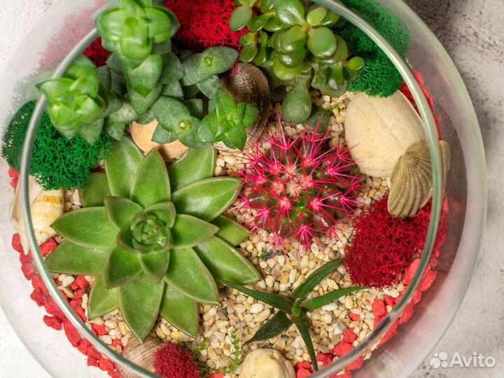 Флорариум в стеклянном шаре