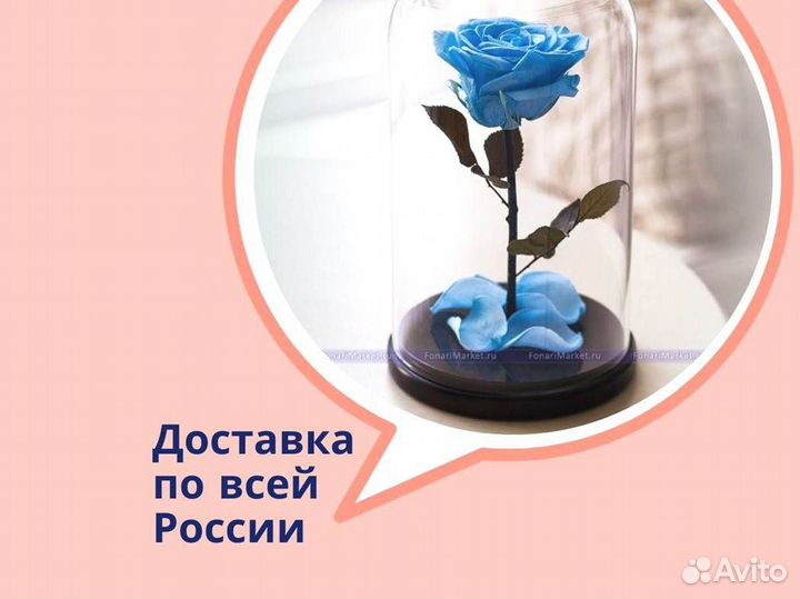 Живая роза в колбе